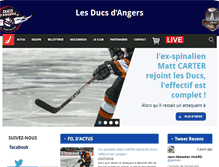 Tablet Screenshot of lesducsdangers.fr